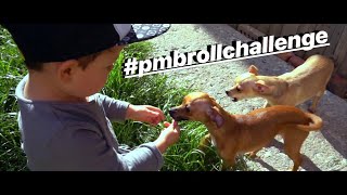 Peter McKinnon's 30 Second B Roll Challenge #pmbrollchallenge