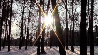 Снова пришла зима. again winter came - Sergey-Grischuk