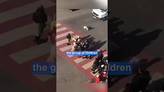 Stray dog protects kids crossing the street ❤️