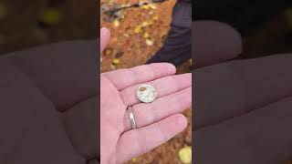 November 18, 2024 Metal detecting