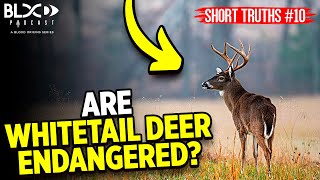 Short Truths #10: Are whitetail deer endangered?