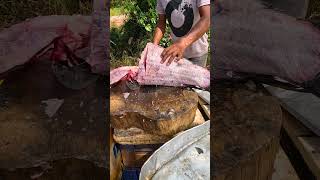 Hard Fish Cutting Skills 30kg Giant Catla Fish Fish Cutting #shorts