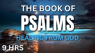 The Book of Psalms - Experience the Healing Power of God through the Book of Psalms 🌿📖