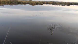 Карась в октябре. Самая короткая рыбалка в этом году