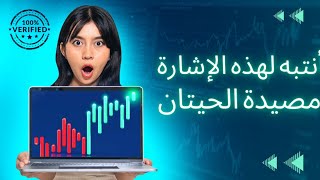 انتبه لهذه الاشارة مصيدة الحيتان|Gann Crypto