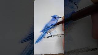 Blue Jay Bird Watercolor Painting Tutorial #everydaywatercolor #watercolortutorial