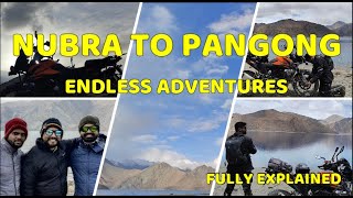 NUBRA TO TSO PANGONG LAKE | FULLY EXPLAINED | FULL OFF-ROAD #lehladakh #pangonglake #incredibleindia