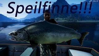 Catching Speilfinne!!! And More in theAngler!!!