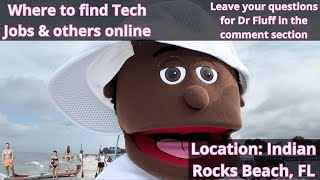 Tech Jobs and where to find them. How to find jobs online. How to find IT jobs online with Dr Fluff