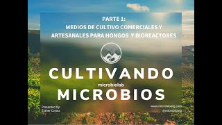 Medios de cultivo comerciales y artesanales y elaboracion de un bioreactor. Cultivando microbios.