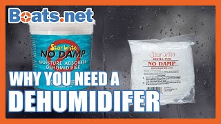 Why You Need a Dehumidifier for Your Boat | How to Prevent Mold on a Boat | Boats.net