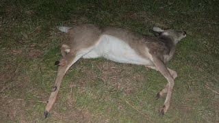 making memories deer hunt (first deer in 3 years)