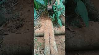 Chainsaw wood cutting #chainsaw #woodcutting #skills