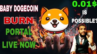 Baby Doge Coin Burn Portal Live🔥| क्या अब 0.01💲 जा सकता है|Baby Dogecoin News Today #cryptocurrency