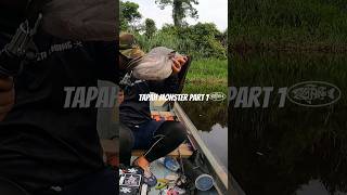 Strike ikan tapah monster part 1 #mancing #ikantapah