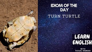 IDIOM OF THE DAY: TURN TURTLE