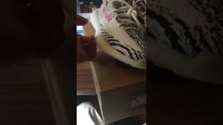 Yeezy V2 Zebra