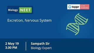 LiveClasses: NEET - Hacks & Tricks - Biology | Excretion, Nervous System