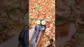 Coach Gun vs Maverick 88 ASMR #shorts #shotgun #12gauge #gun #asmr