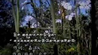 Tibetan Song | Ache Lak | Asu Kun