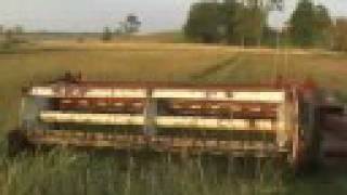 Cutting Hay