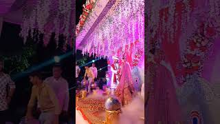 canon t8i review photography shaadi suit ashok photowala photoshoot #video #trendin