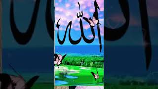 #allah #shortvideo