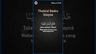 Thola'al Badru 'Alayna #sholawat #sholawatmerdu #sholawatnabi #storywa #liriklagu #status