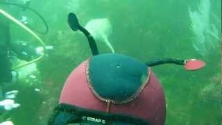 buceo en Cabicastro