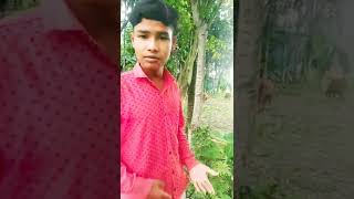 আমরা হৈলং বড়ো তাই আমরা কি করি?||sourav barman/ngor/nagor/saso