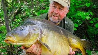 Carp action in Germany