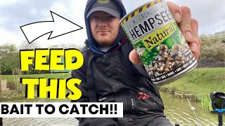 Dynamite Hempseed Natural Review (Feed This Bait To Catch!!!)