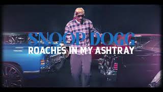 Snoop Dogg - Roaches In My Ashtray (feat. proHoeZak) [Official Music Video]