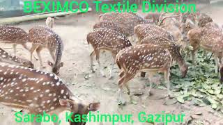 RMG, Textile,  BEXIMCO Industrial Park (Textile  Division), Kashimpur, Gazipur (বেক্সিমকোতে  একদিন।)