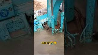 Kobelco machine stuck in mud #jcb #youtubeshorts #shorts #farming #ytshorts #youtube #skmachineindia