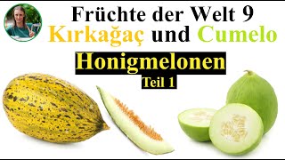 Früchte der Welt 9 – Hongmelonen Kirkagac und Cumelo Pflanzliche Rohkost