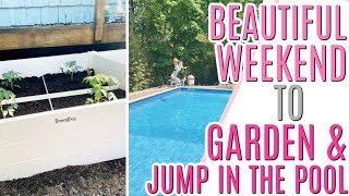 Beautiful Weekend to Garden and Jump in the Pool for the First Time