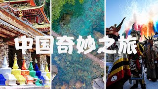 打卡“财神居住的地方”、在“圣洁的湖”里捕鱼、探访神秘的独龙族......他们在中国有怎样的奇妙之旅？