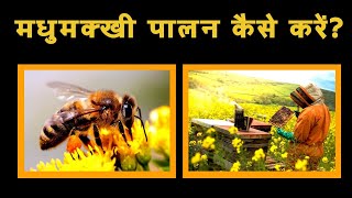 मधुमक्खी पालन कैसे करें | Honey Bee Keeping Farming In India || मधुमक्खी पालन