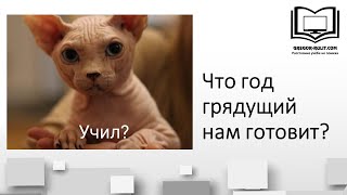 Что год грядущий нам готовит?