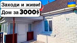 🇺🇦 Заходи и живи! Дом в селе за 3000$ Продажа недвижимости за копейки! Всё есть Уютное тихое село!