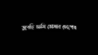 ডুবেছি আমি তোমার চোখের অনন্ত মায়ায়!!Black Screen Lyrics Whatsapp Status...!!🖤👀 @hridoyxlyrics