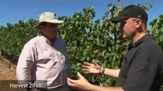 Winelands Economics 101 - Simon and Dave