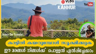 ARALAM WILDLIFE SANCTUARY|  PART 2| ARALAM TREKKING | ARALAM WILDLIFE SANCTUARY KANNUR