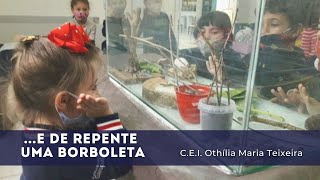 E de repente...  uma Borboleta - C.E.I.M Othilia Maria Teixeira