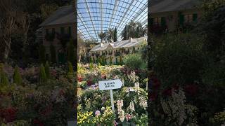 🇸🇬Garden by the Bay-Impressions of Monet #Singapore #gardenbythebay  #travel #shorts