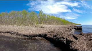 Edge of the World | Shore of Lake Ontario at Presqu'ile Provincial Park