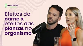 Efeitos da carne X efeitos das plantas no organismo