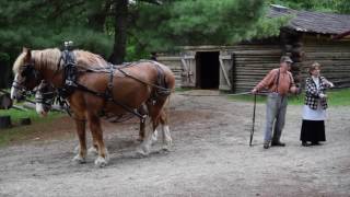 Tour Itasca