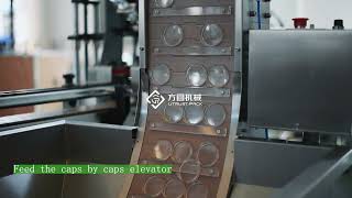 Granular Meterial Filling and Packaging  Production Line Chocolate bean bottle packing line